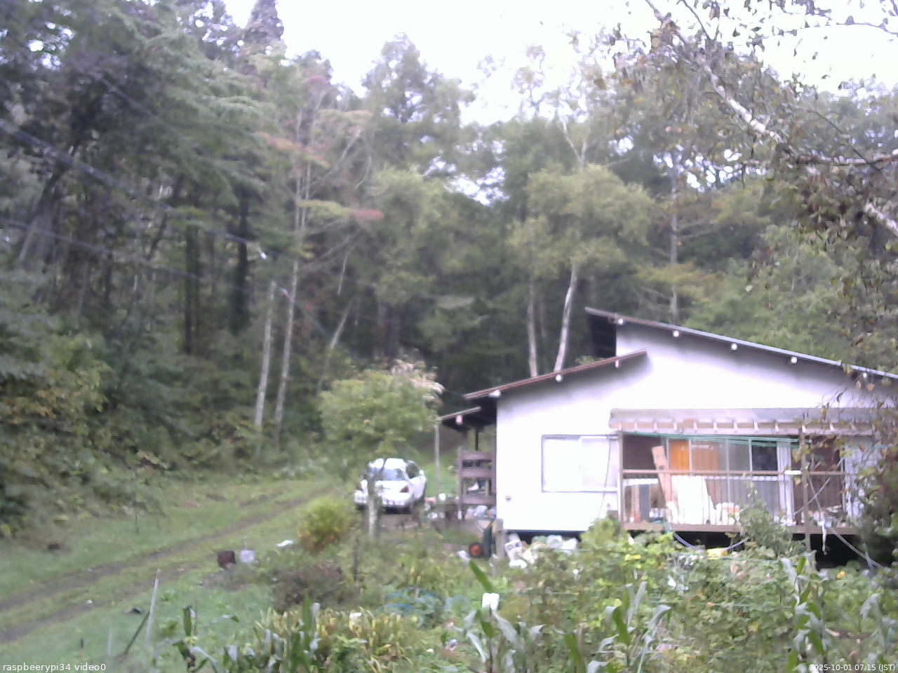 長野県菅平高原 ゆたか山荘 西側(坂上) 2025/10/01 07:15