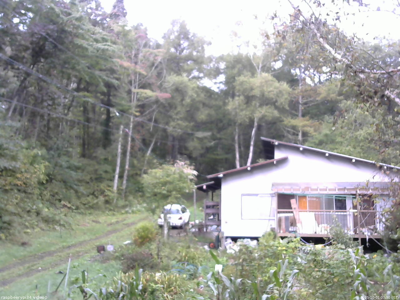 長野県菅平高原 ゆたか山荘 西側(坂上) 2025/10/01 07:30