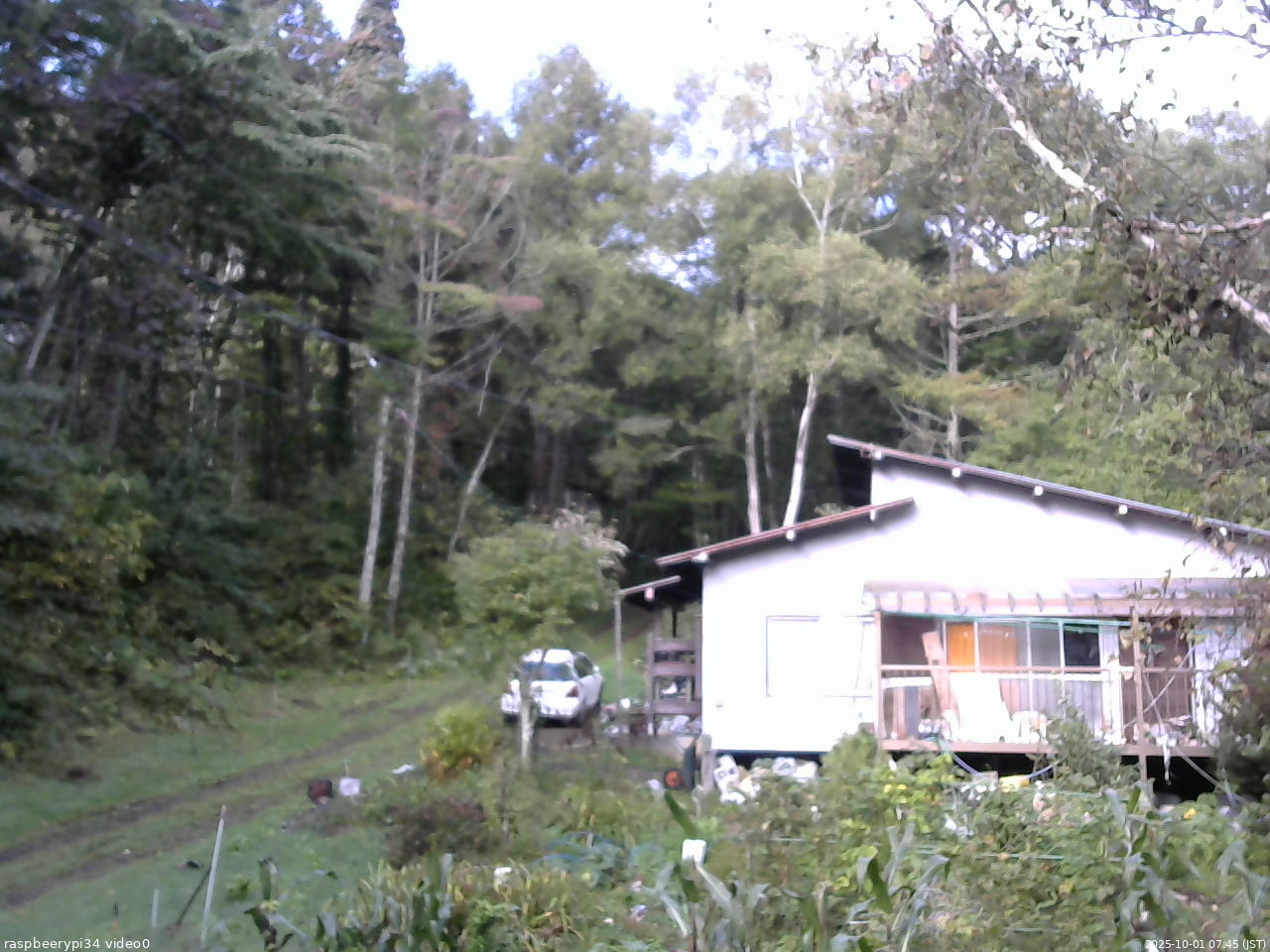 長野県菅平高原 ゆたか山荘 西側(坂上) 2025/10/01 07:45