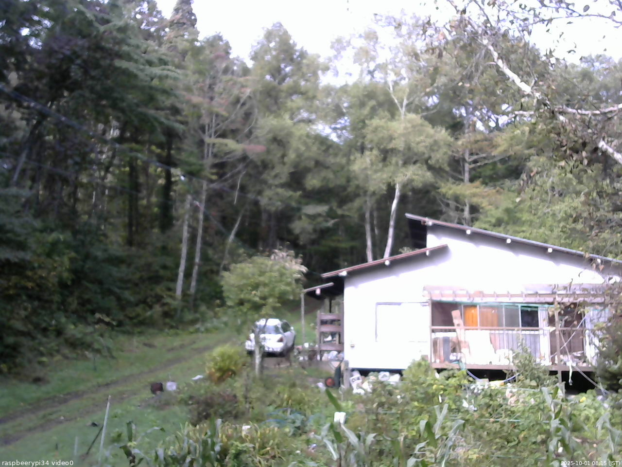 長野県菅平高原 ゆたか山荘 西側(坂上) 2025/10/01 08:15