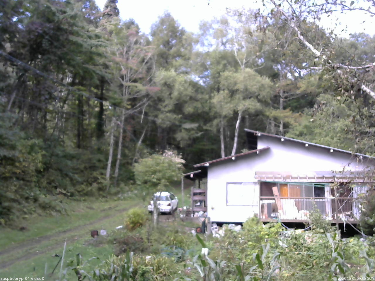 長野県菅平高原 ゆたか山荘 西側(坂上) 2025/10/01 09:30
