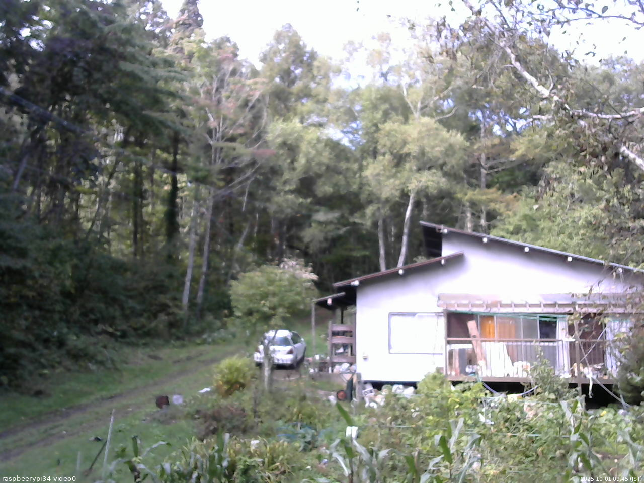 長野県菅平高原 ゆたか山荘 西側(坂上) 2025/10/01 09:45