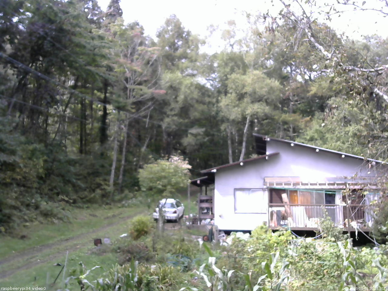 長野県菅平高原 ゆたか山荘 西側(坂上) 2025/10/01 10:15