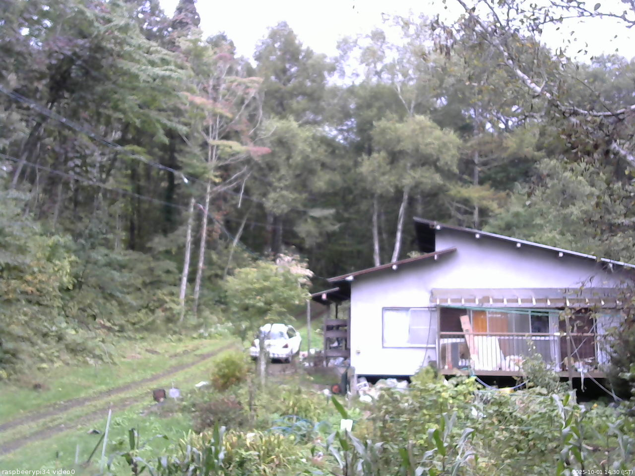 長野県菅平高原 ゆたか山荘 西側(坂上) 2025/10/01 14:30