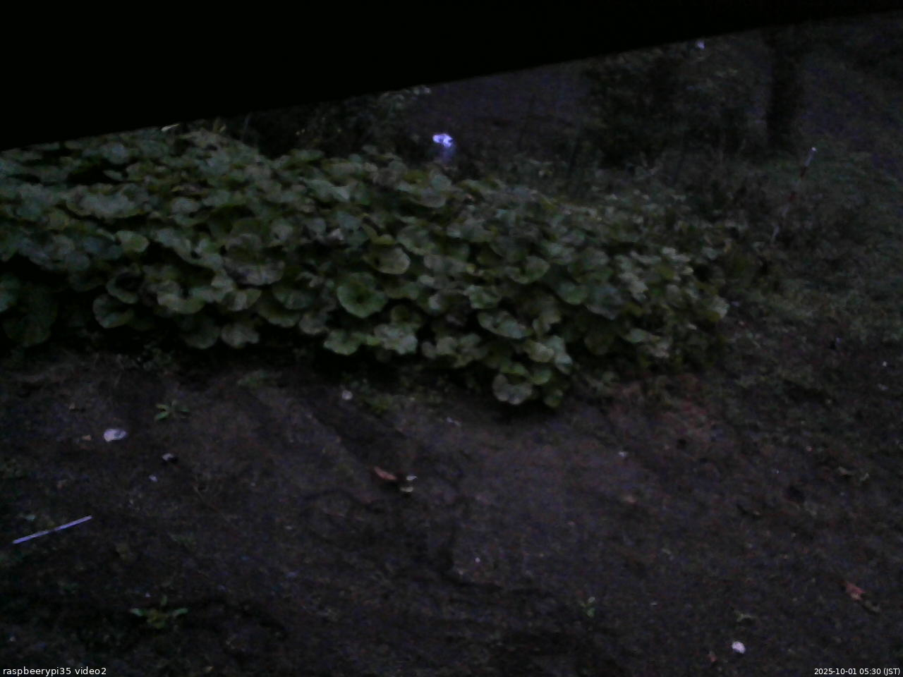 長野県菅平高原 ゆたか山荘 駐車場 2025/10/01 05:30