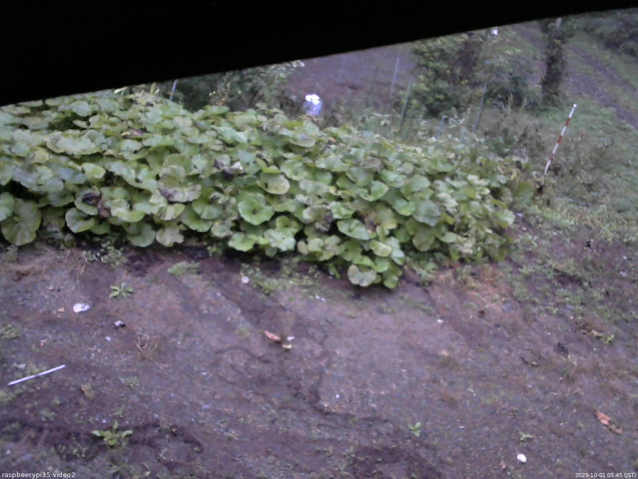 長野県菅平高原 ゆたか山荘 駐車場 2025/10/01 05:45