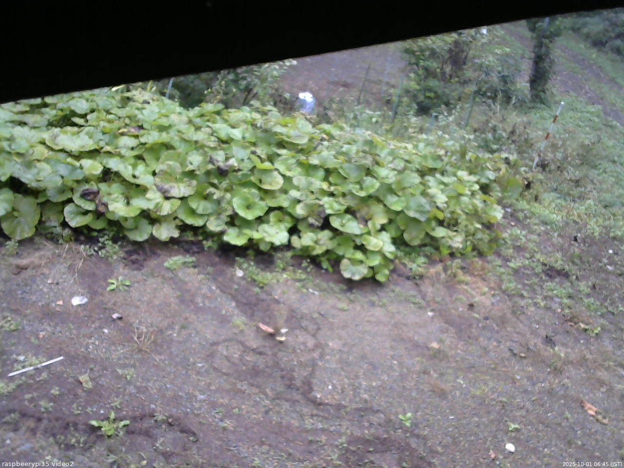 長野県菅平高原 ゆたか山荘 駐車場 2025/10/01 06:45