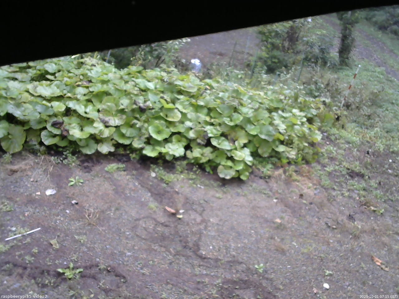 長野県菅平高原 ゆたか山荘 駐車場 2025/10/01 07:15