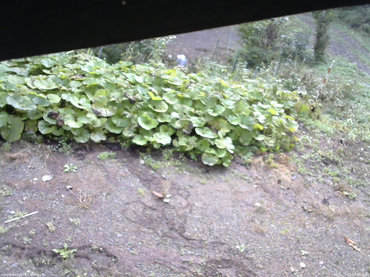 長野県菅平高原 ゆたか山荘 駐車場 2025/10/01 07:45
