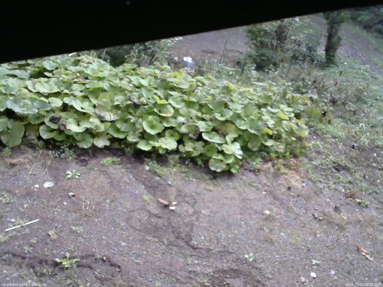 長野県菅平高原 ゆたか山荘 駐車場 2025/10/01 08:15
