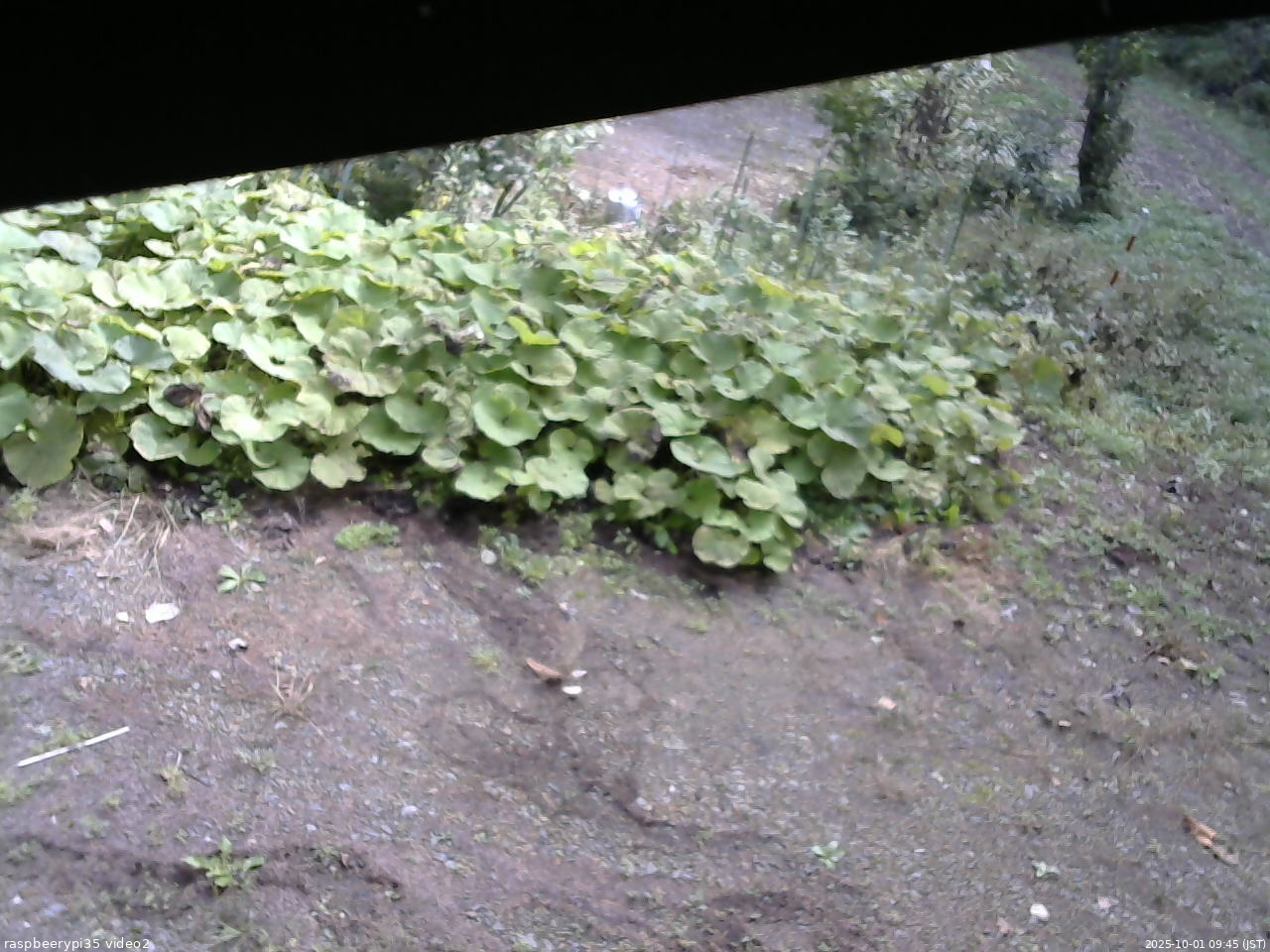 長野県菅平高原 ゆたか山荘 駐車場 2025/10/01 09:45