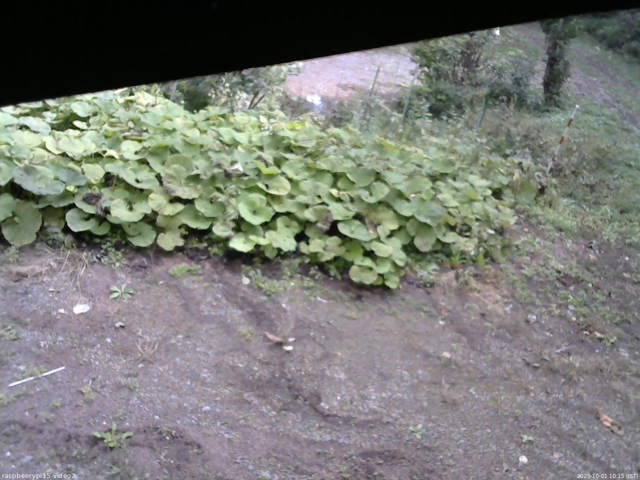 長野県菅平高原 ゆたか山荘 駐車場 2025/10/01 10:15