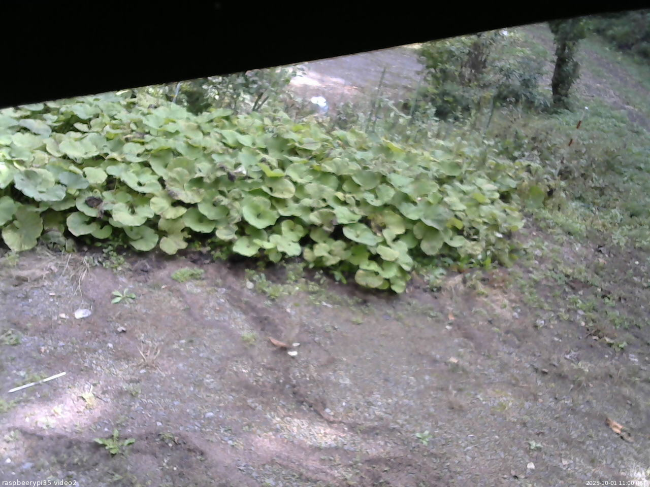 長野県菅平高原 ゆたか山荘 駐車場 2025/10/01 11:00