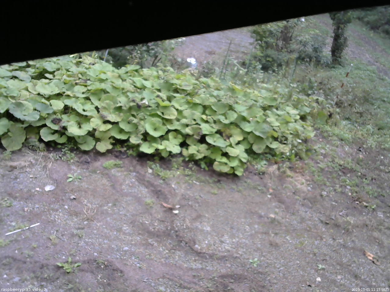 長野県菅平高原 ゆたか山荘 駐車場 2025/10/01 11:15