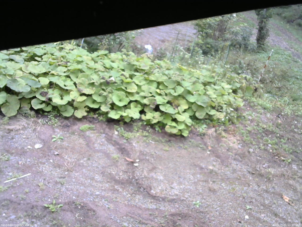 長野県菅平高原 ゆたか山荘 駐車場 2025/10/01 11:30