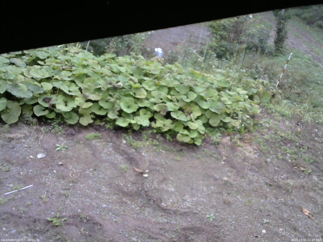 長野県菅平高原 ゆたか山荘 駐車場 2025/10/01 11:45
