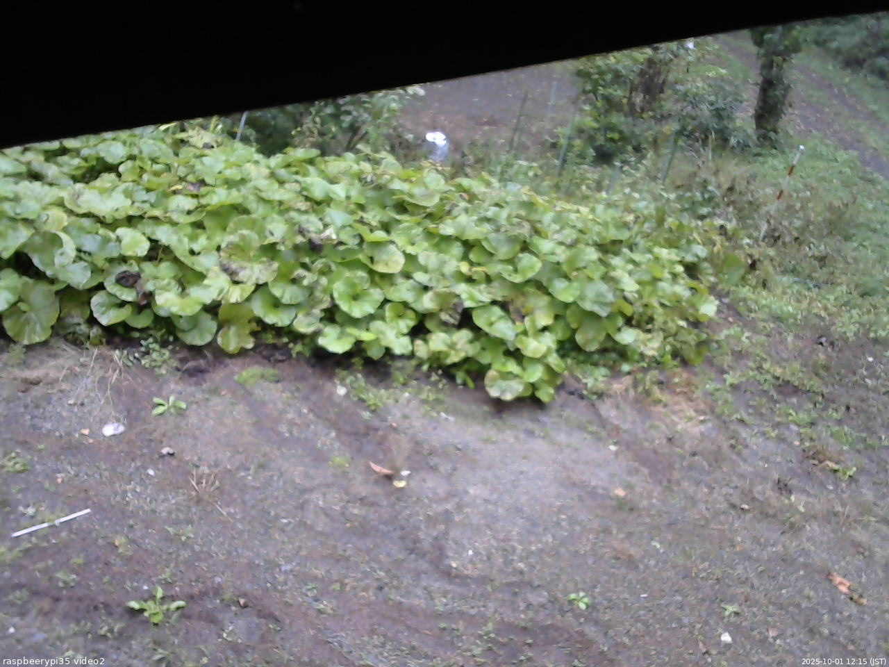 長野県菅平高原 ゆたか山荘 駐車場 2025/10/01 12:15