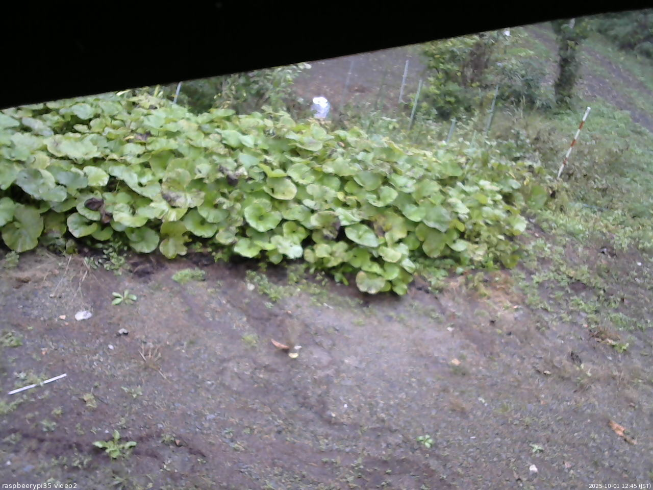 長野県菅平高原 ゆたか山荘 駐車場 2025/10/01 12:45
