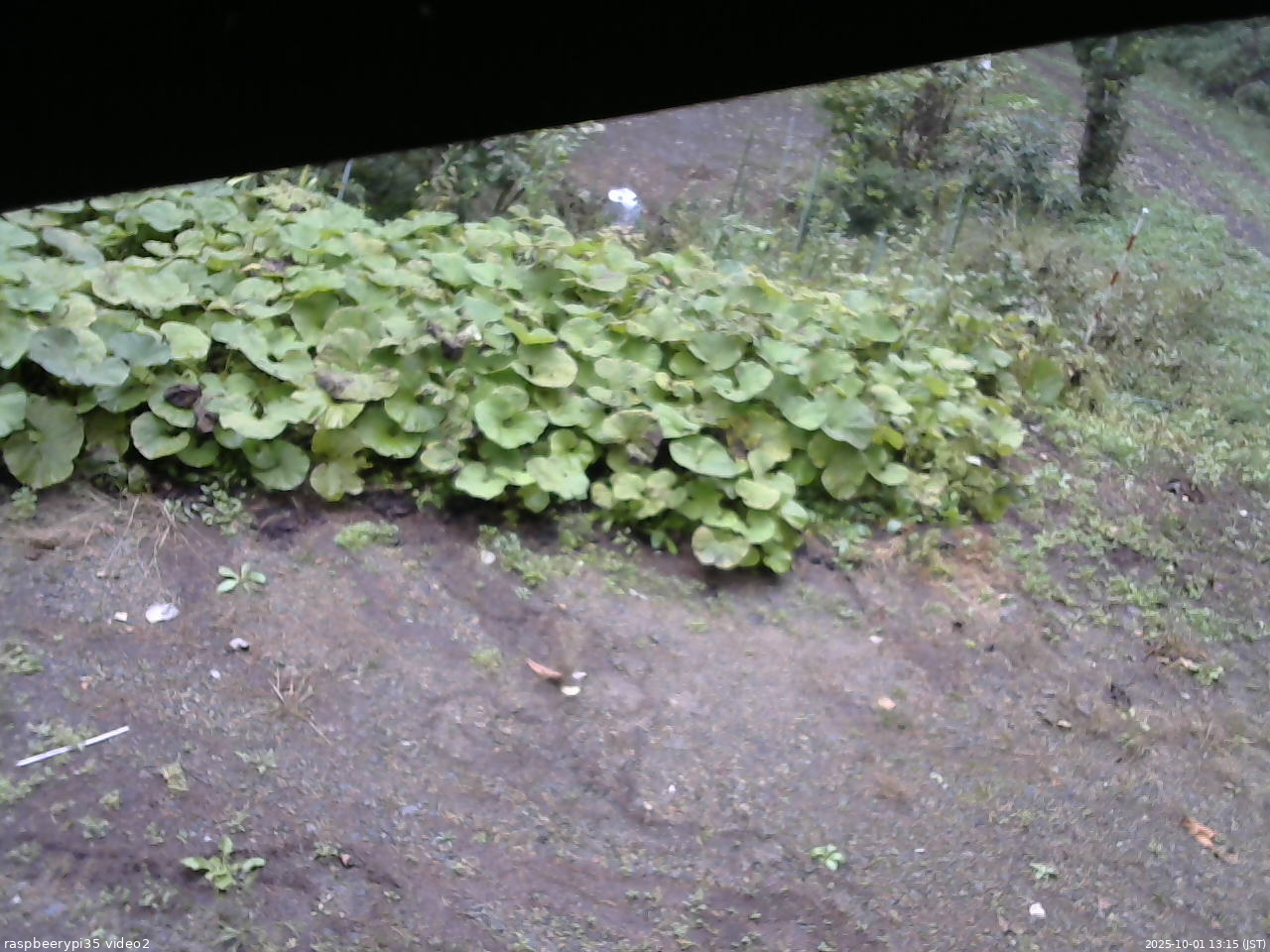長野県菅平高原 ゆたか山荘 駐車場 2025/10/01 13:15