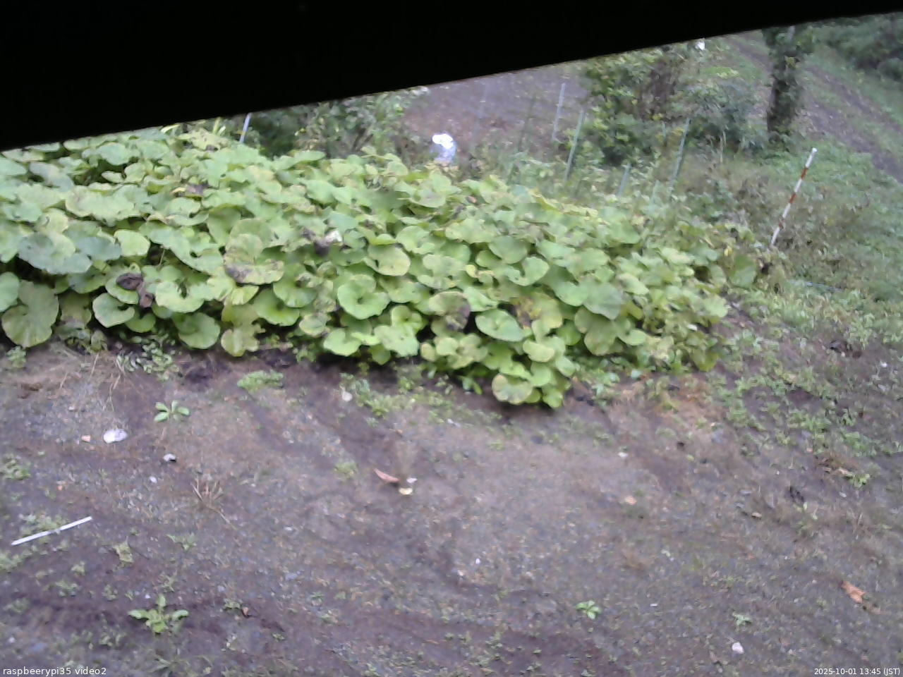 長野県菅平高原 ゆたか山荘 駐車場 2025/10/01 13:45