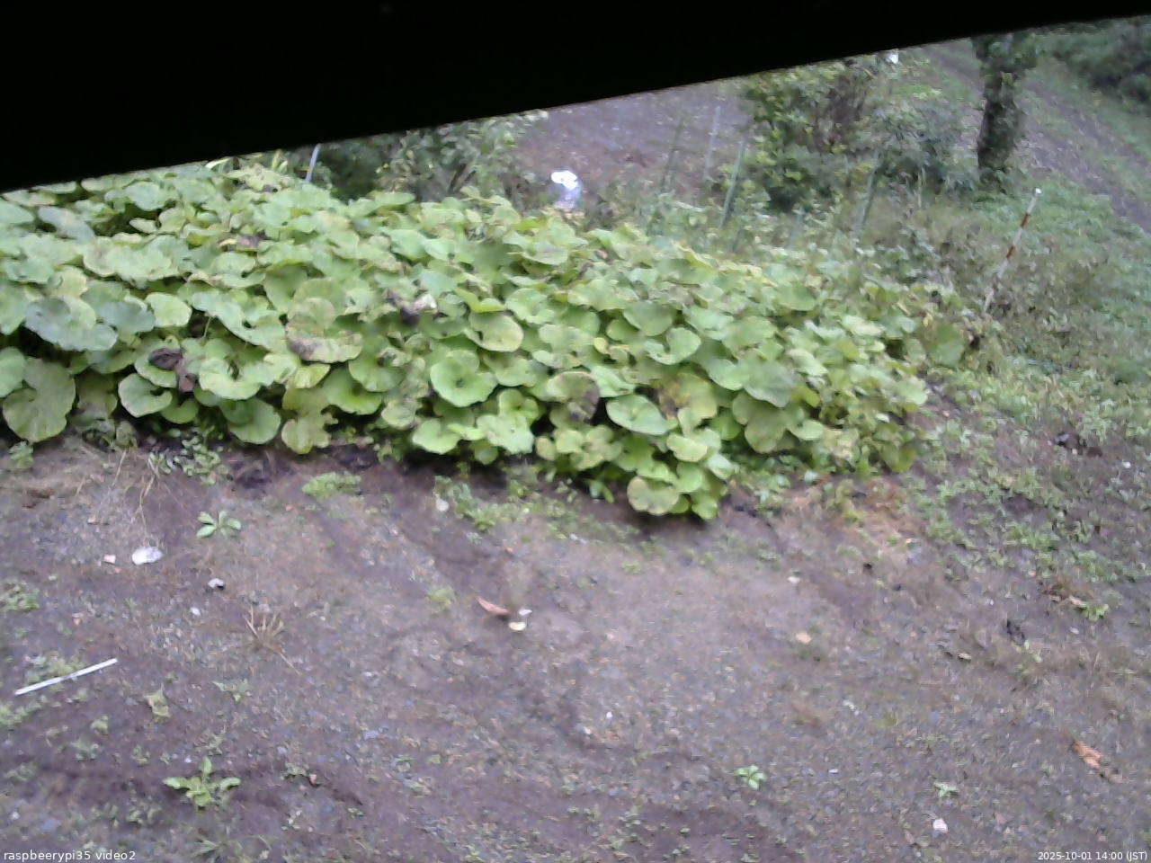 長野県菅平高原 ゆたか山荘 駐車場 2025/10/01 14:00