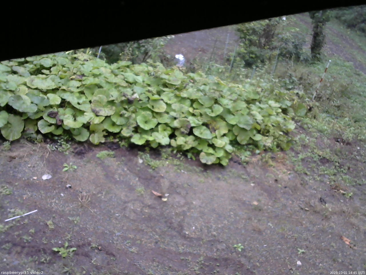 長野県菅平高原 ゆたか山荘 駐車場 2025/10/01 14:45
