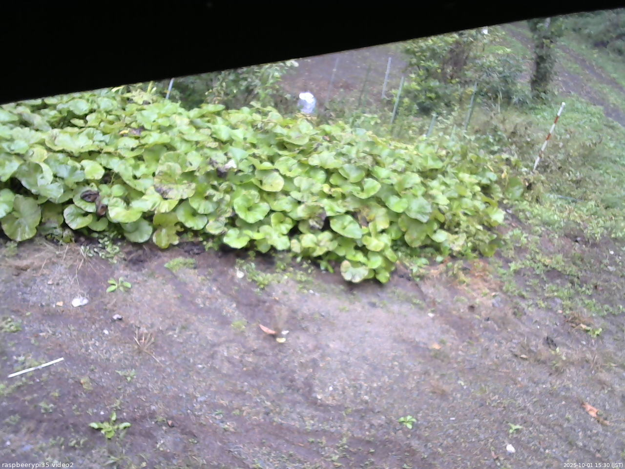 長野県菅平高原 ゆたか山荘 駐車場 2025/10/01 15:30