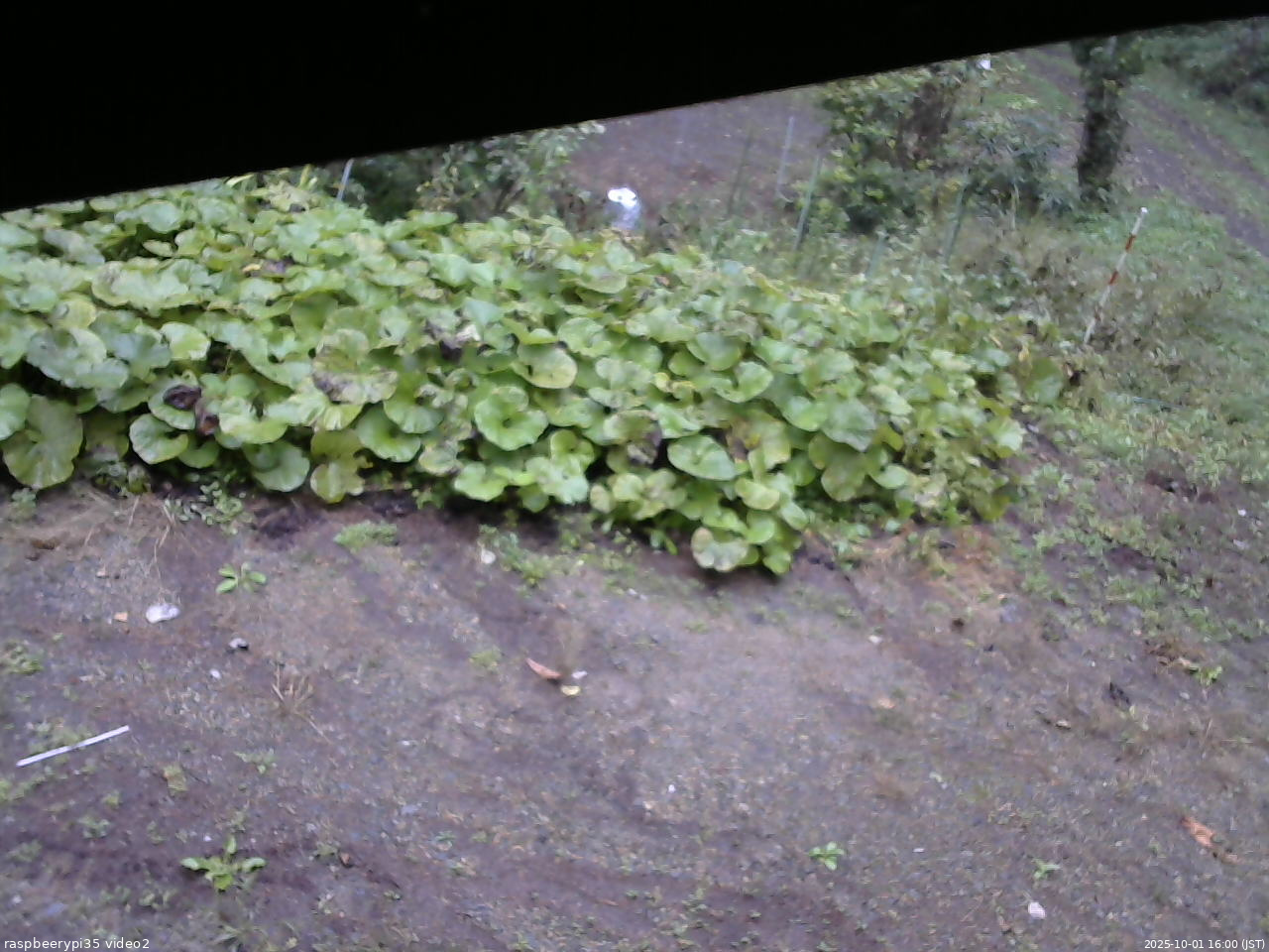 長野県菅平高原 ゆたか山荘 駐車場 2025/10/01 16:00