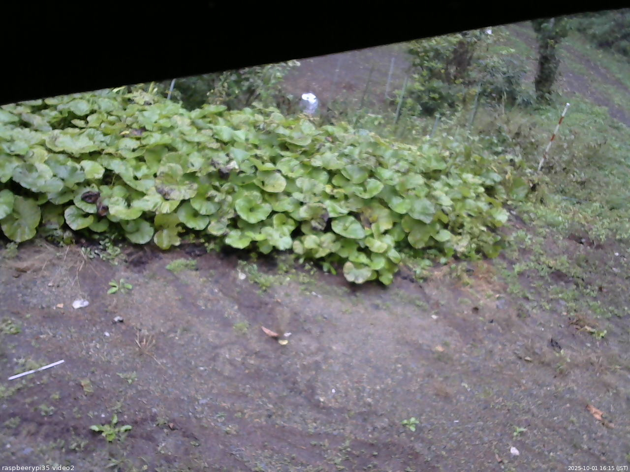 長野県菅平高原 ゆたか山荘 駐車場 2025/10/01 16:15