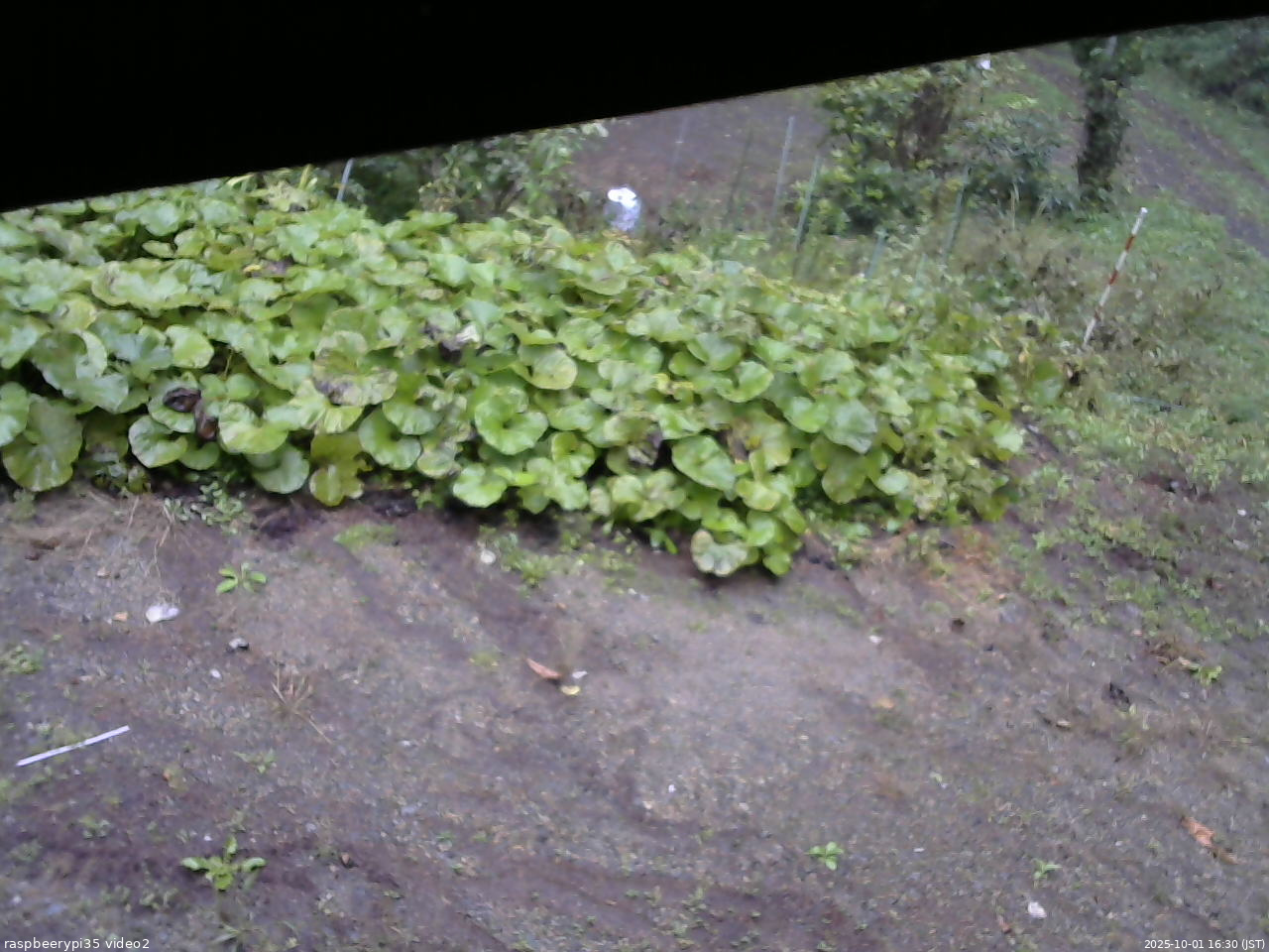 長野県菅平高原 ゆたか山荘 駐車場 2025/10/01 16:30