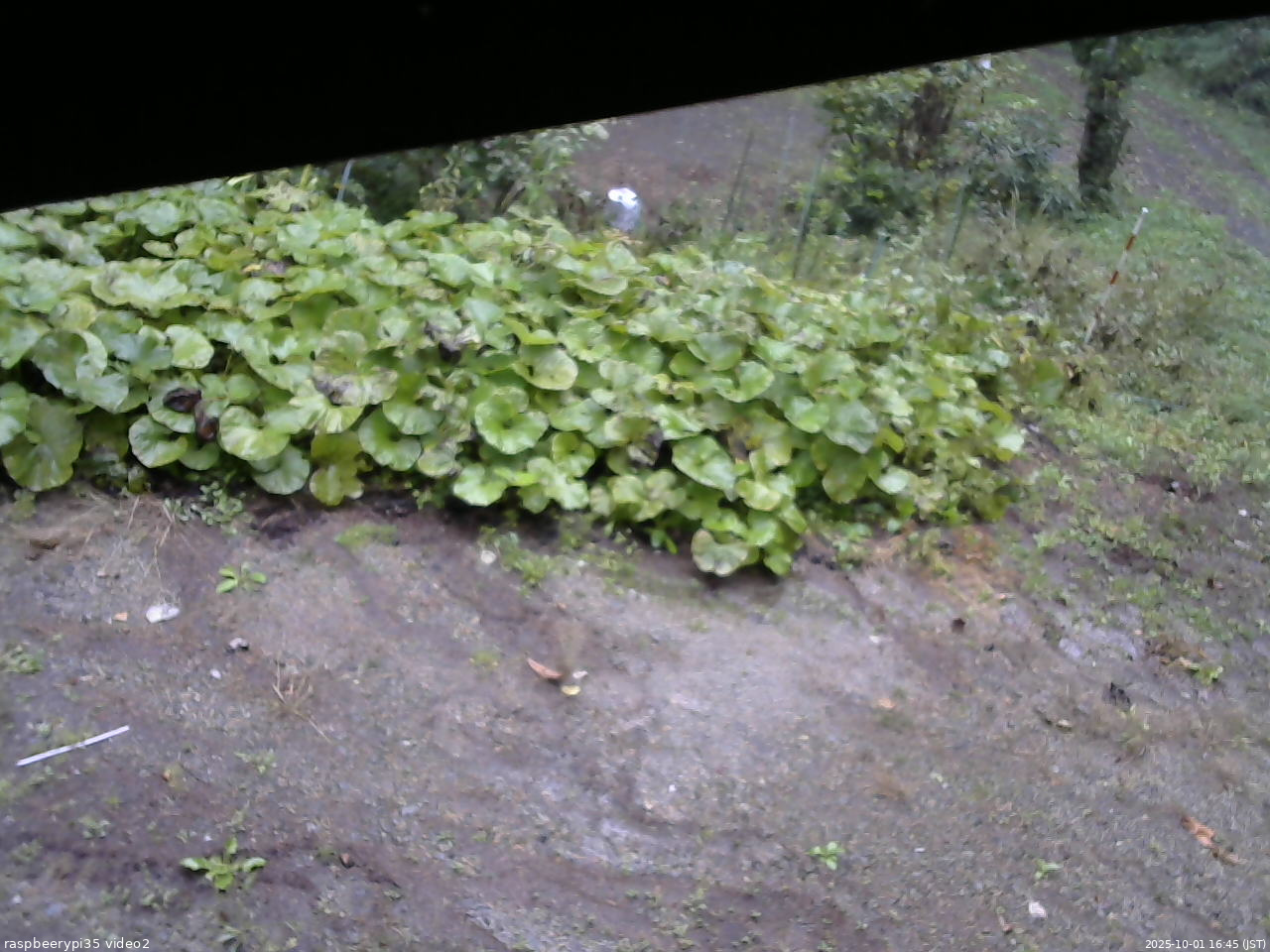 長野県菅平高原 ゆたか山荘 駐車場 2025/10/01 16:45