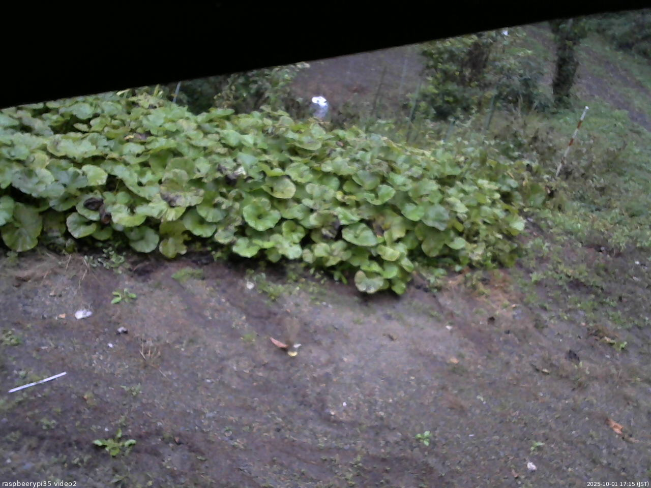 長野県菅平高原 ゆたか山荘 駐車場 2025/10/01 17:15