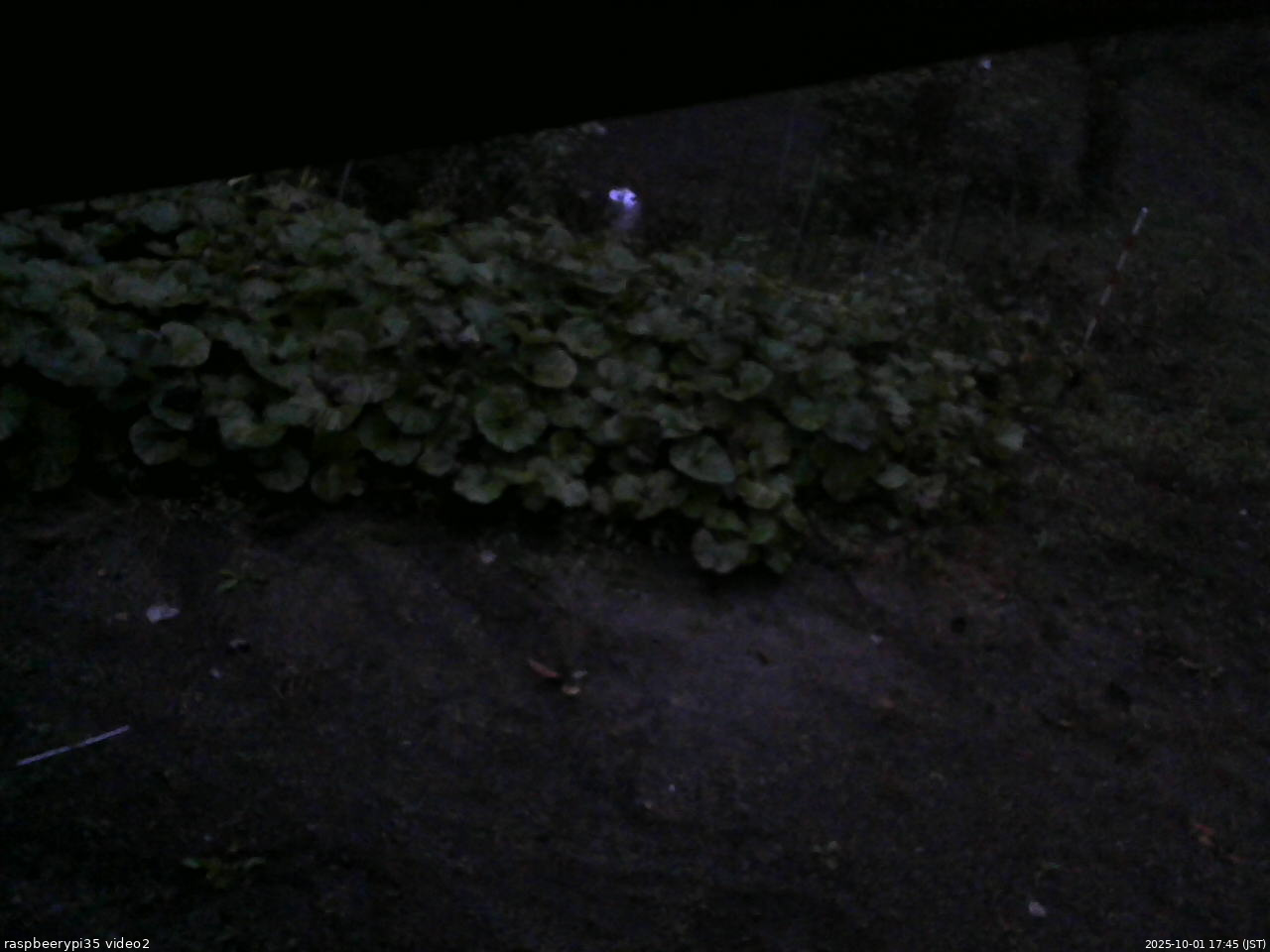 長野県菅平高原 ゆたか山荘 駐車場 2025/10/01 17:45