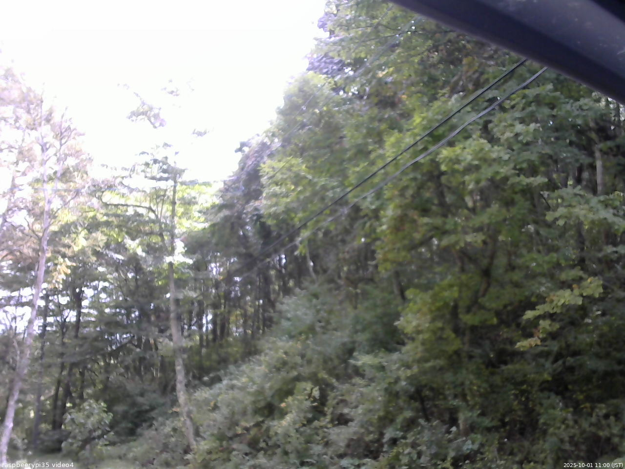 長野県菅平高原 ゆたか山荘 東側上空 2025/10/01 11:00
