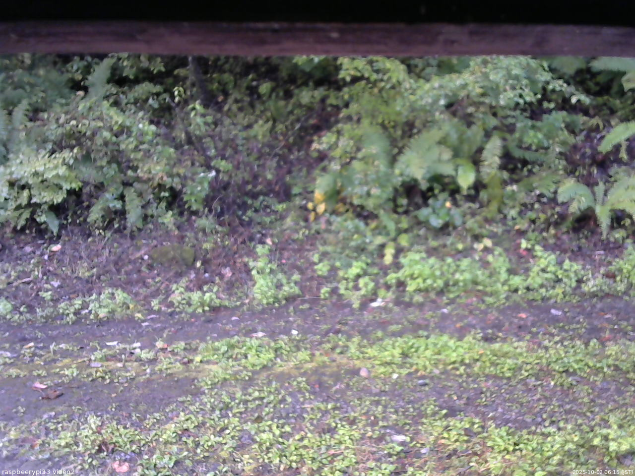 長野県菅平高原 ゆたか山荘 南側 2025/10/02 06:15