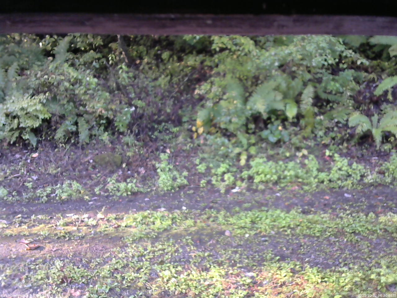 長野県菅平高原 ゆたか山荘 南側 2025/10/02 06:30