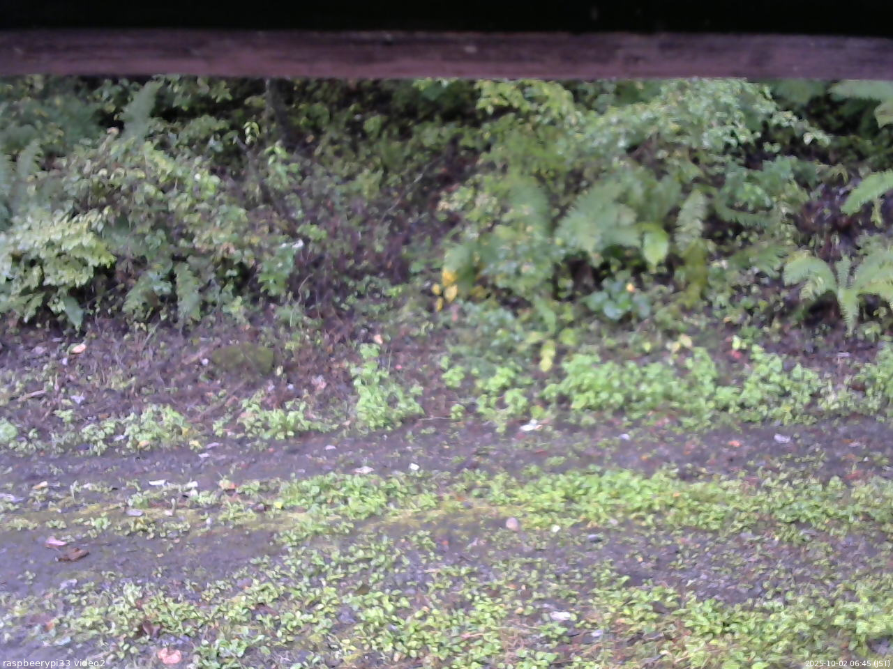 長野県菅平高原 ゆたか山荘 南側 2025/10/02 06:45