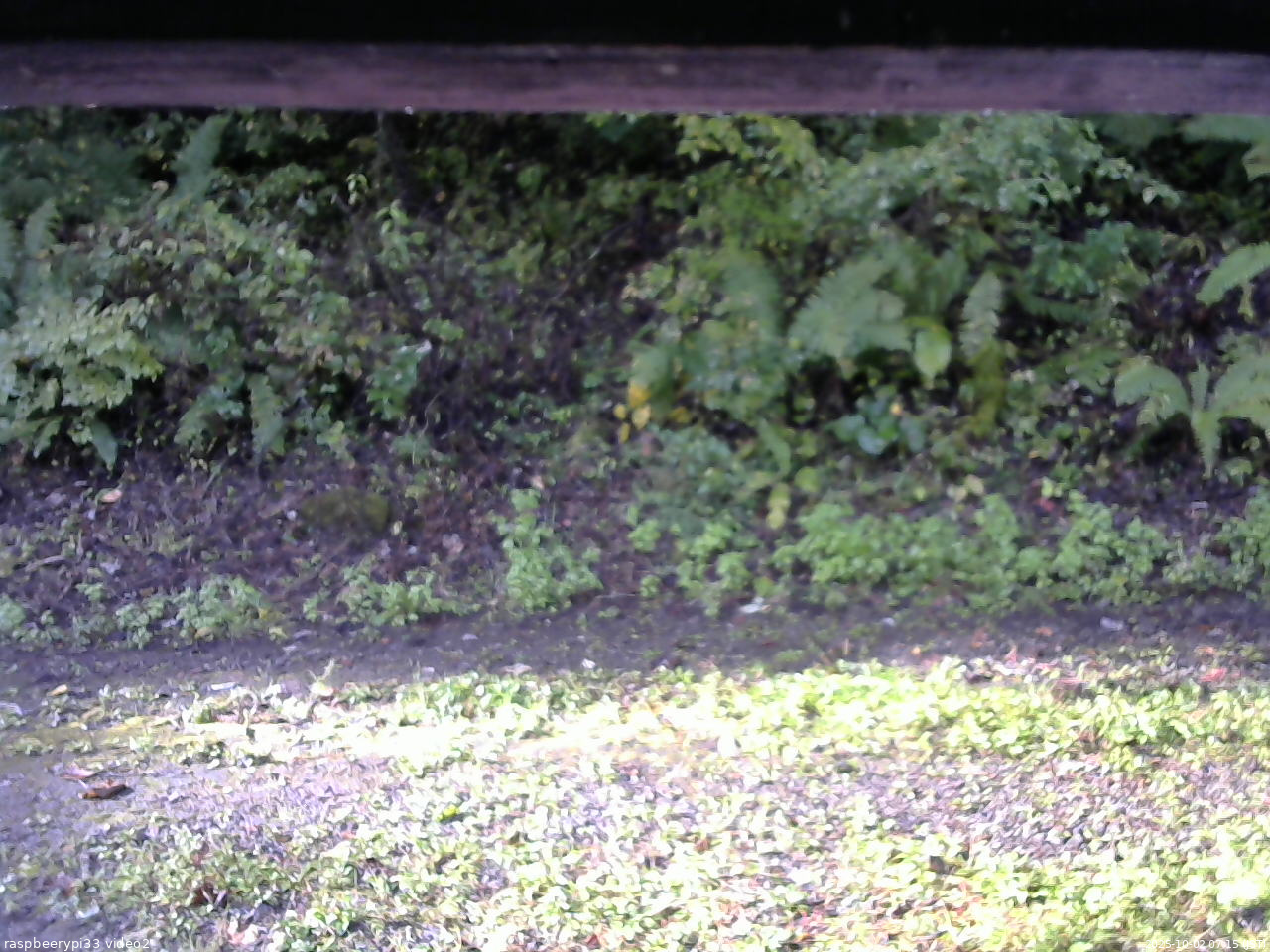 長野県菅平高原 ゆたか山荘 南側 2025/10/02 07:15
