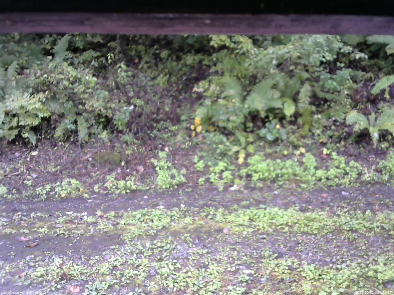 長野県菅平高原 ゆたか山荘 南側 2025/10/02 08:15