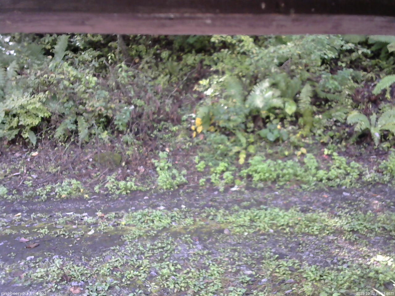 長野県菅平高原 ゆたか山荘 南側 2025/10/02 09:15