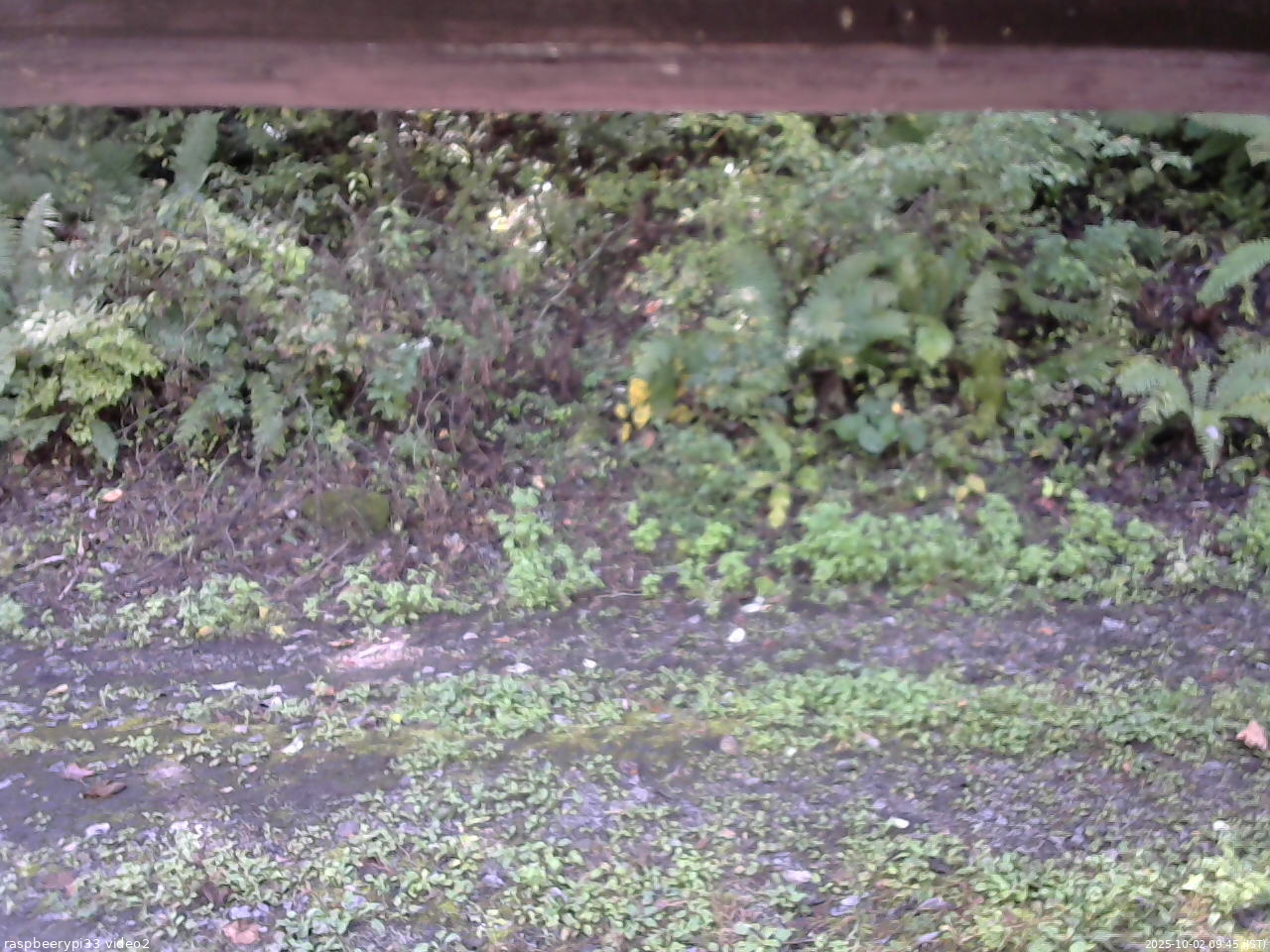 長野県菅平高原 ゆたか山荘 南側 2025/10/02 09:45