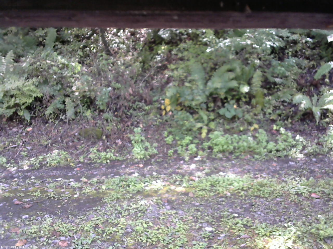 長野県菅平高原 ゆたか山荘 南側 2025/10/02 12:15
