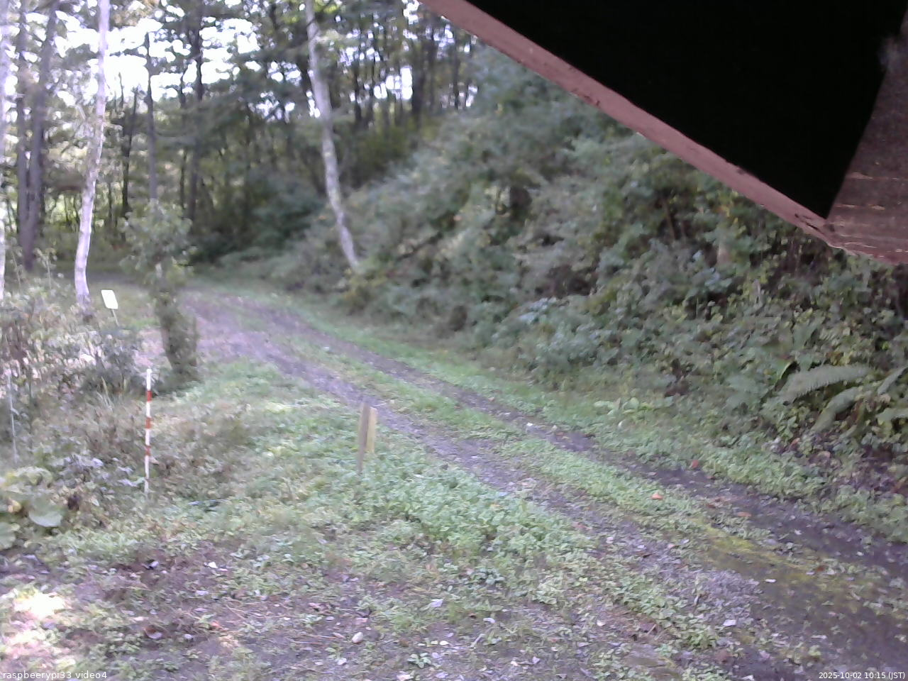 長野県菅平高原 ゆたか山荘 東側(坂下) 2025/10/02 10:15