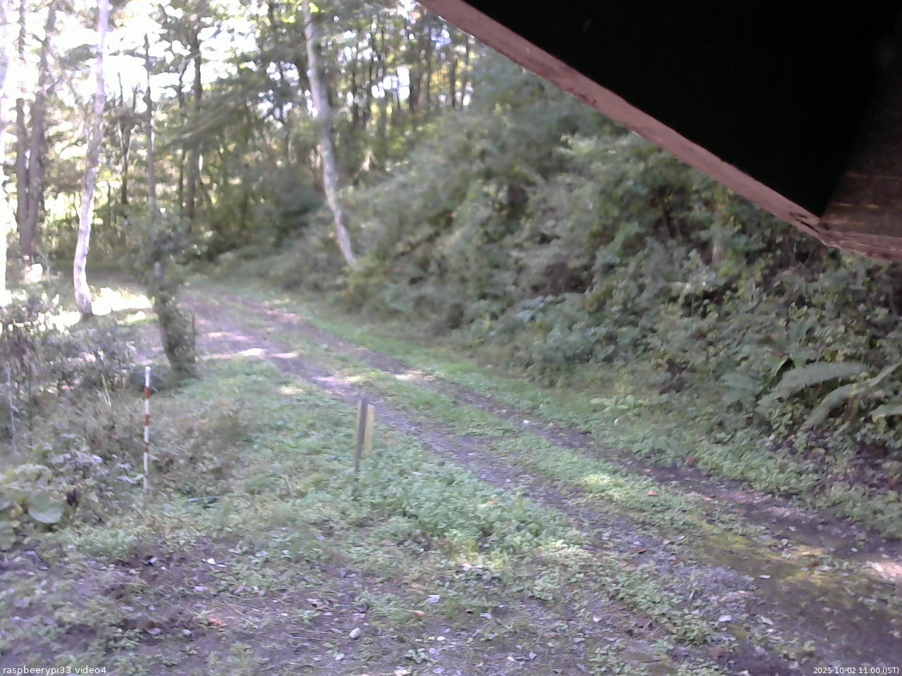 長野県菅平高原 ゆたか山荘 東側(坂下) 2025/10/02 11:00