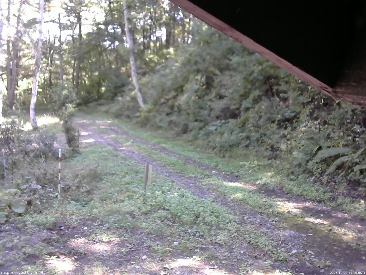 長野県菅平高原 ゆたか山荘 東側(坂下) 2025/10/02 11:15