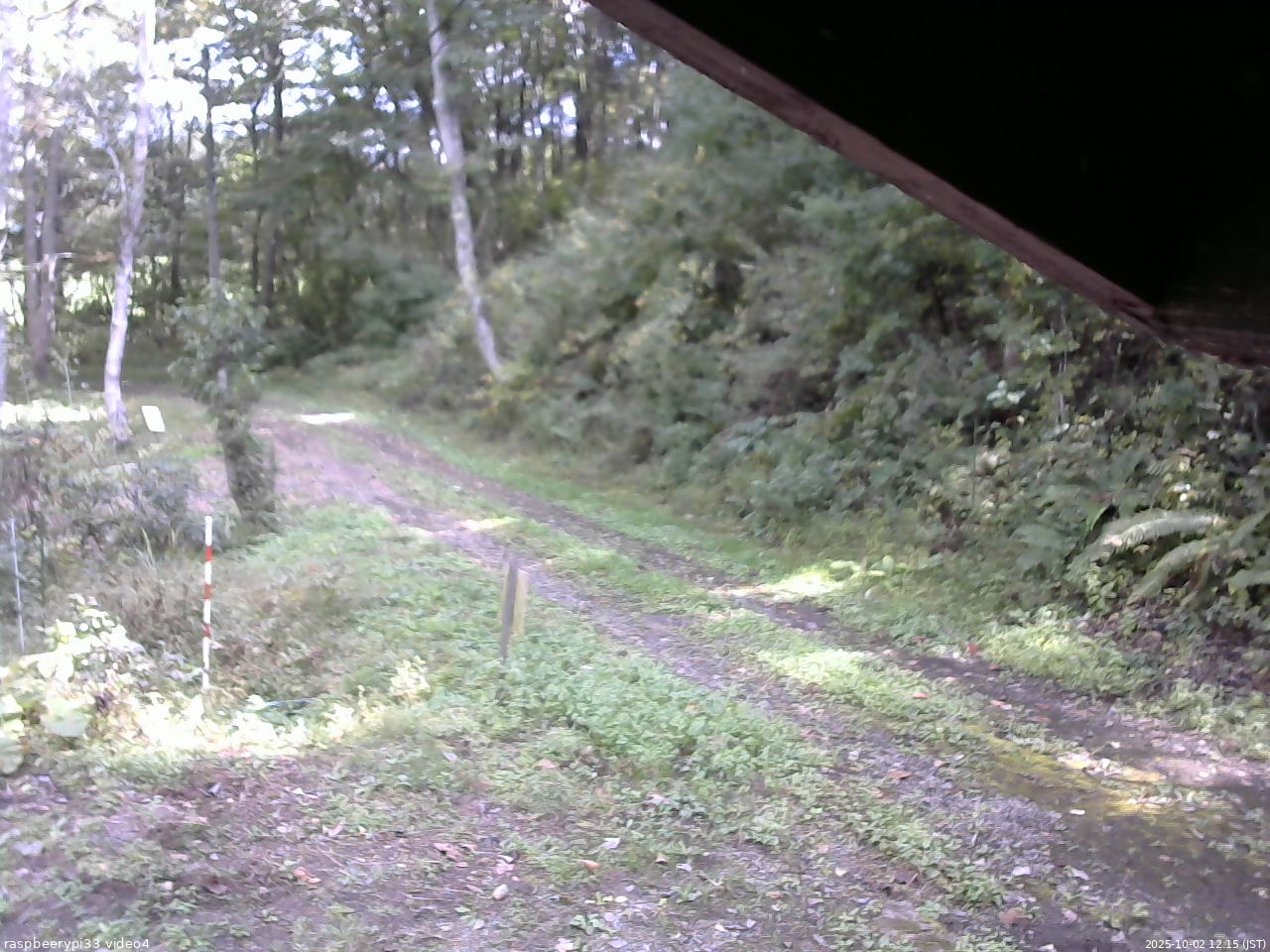 長野県菅平高原 ゆたか山荘 東側(坂下) 2025/10/02 12:15