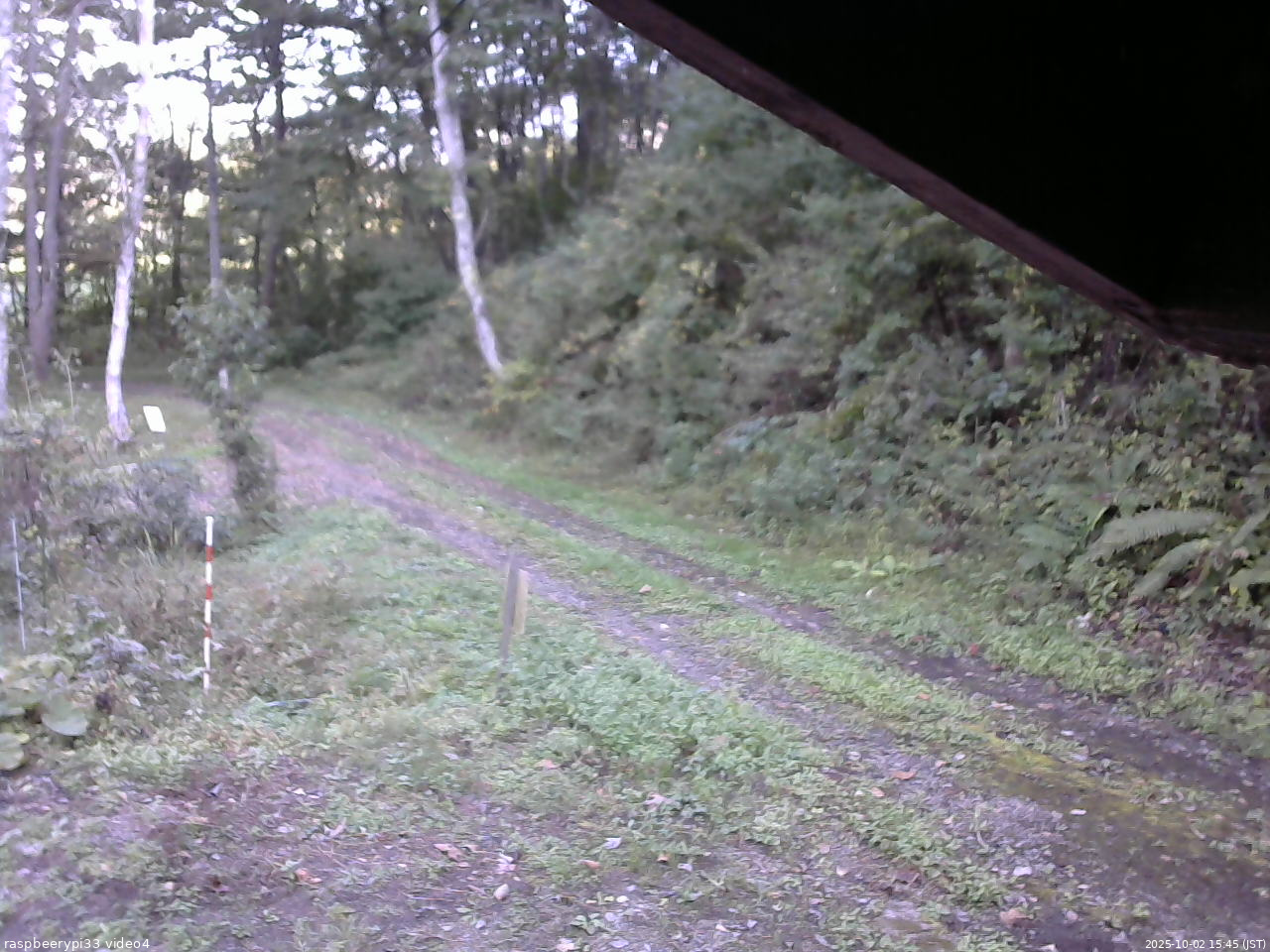 長野県菅平高原 ゆたか山荘 東側(坂下) 2025/10/02 15:45