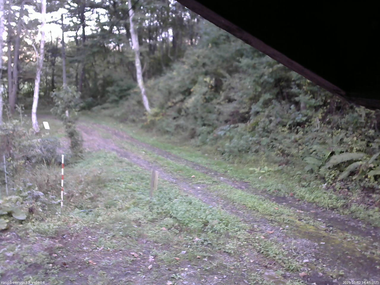 長野県菅平高原 ゆたか山荘 東側(坂下) 2025/10/02 16:45