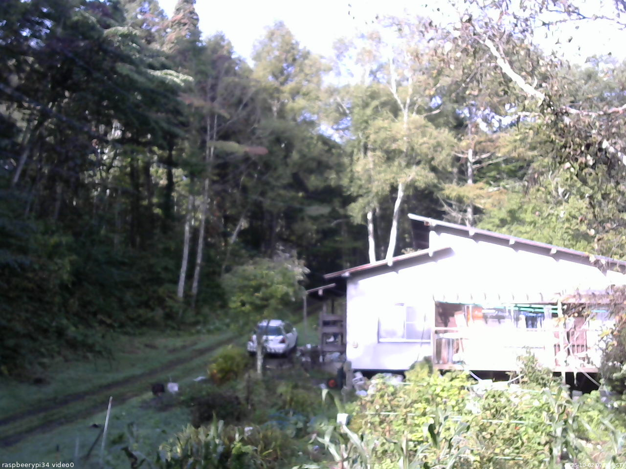 長野県菅平高原 ゆたか山荘 西側(坂上) 2025/10/02 07:30