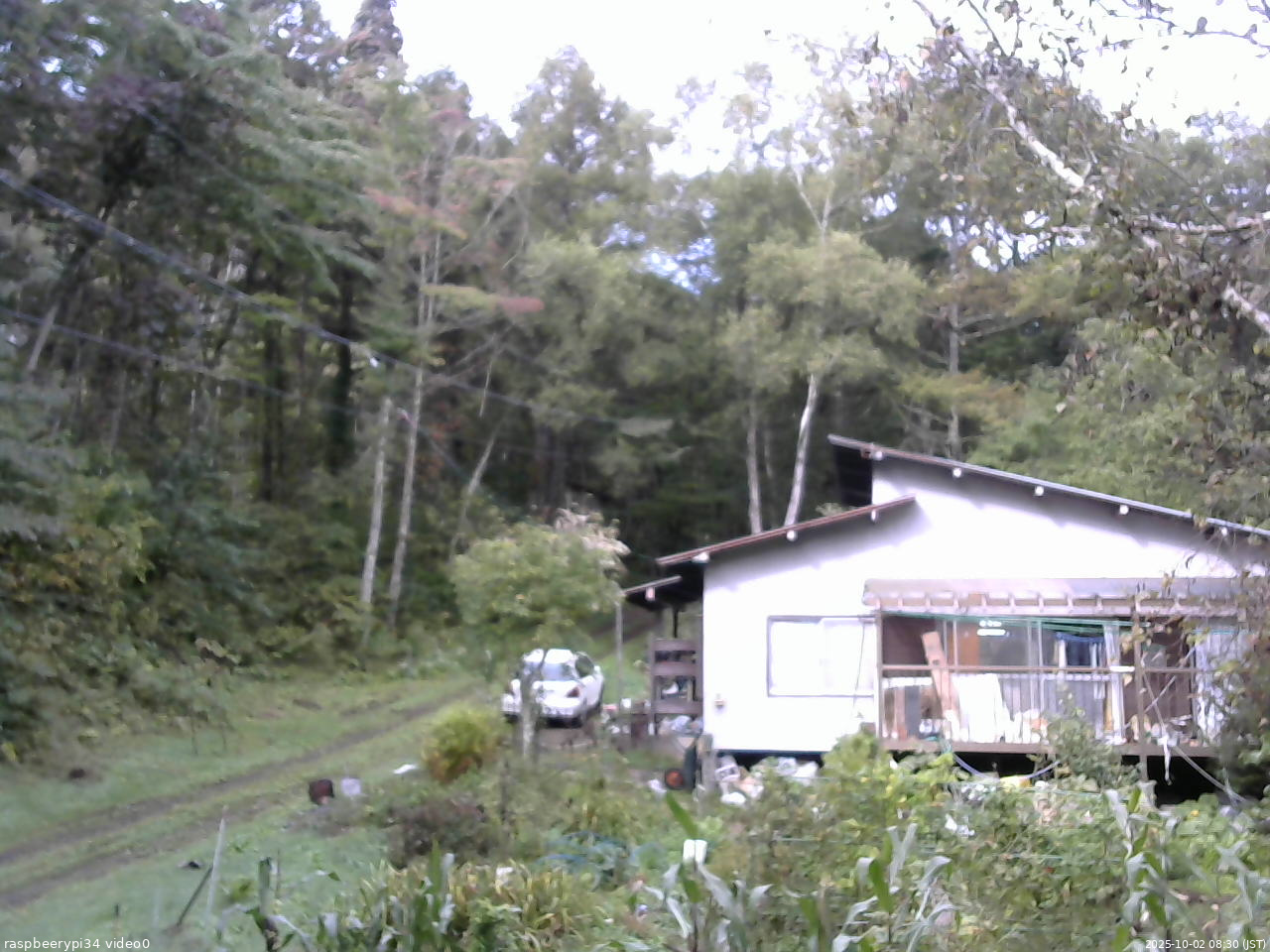 長野県菅平高原 ゆたか山荘 西側(坂上) 2025/10/02 08:30